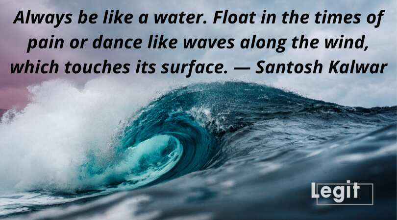 50 Cool Water Quotes That Will Help You To Just Keep Swimming Legit Ng