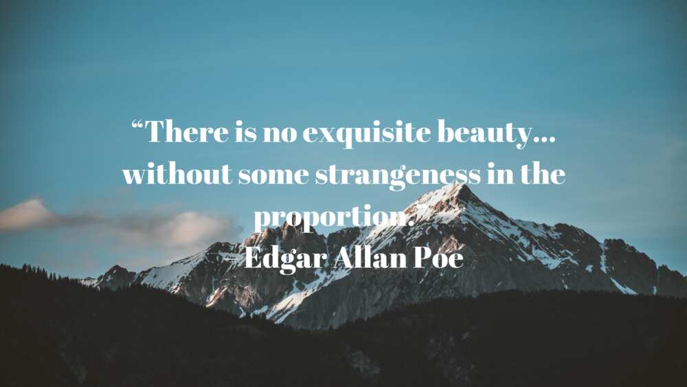 Quotes Edgar Allan Poe