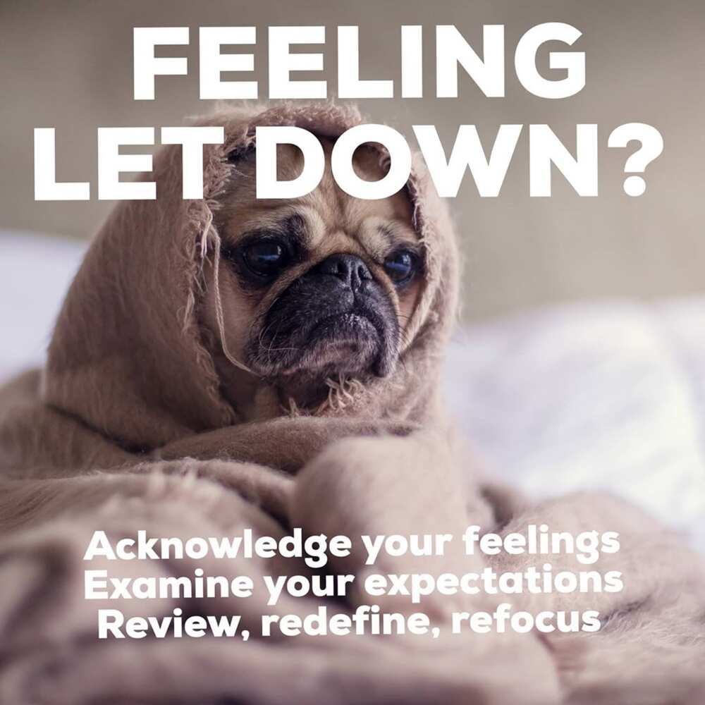 feeling let down quotes
