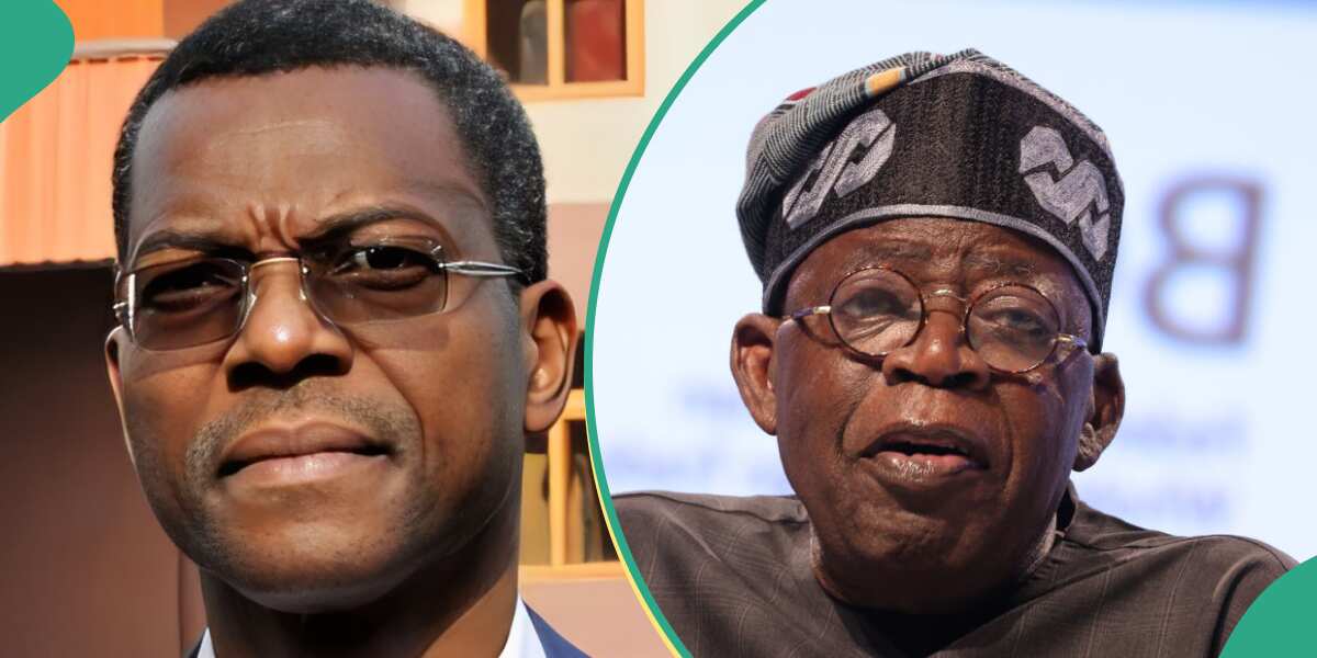 Confident APC chieftain reveals how Tinubu will be re-elected in 2027