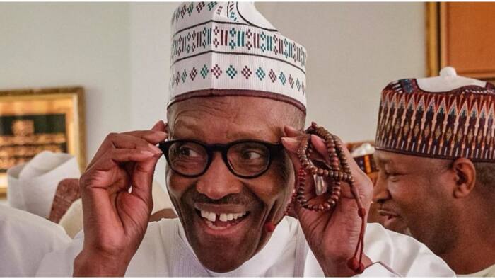 President Buhari assures citizens of Nigeria's success, development, gives reasons