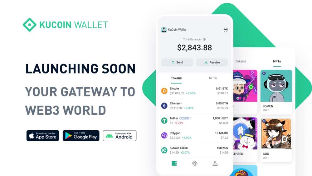 All You Need to Know About leading Crypto Wallet, KuCoin - Legit.ng
