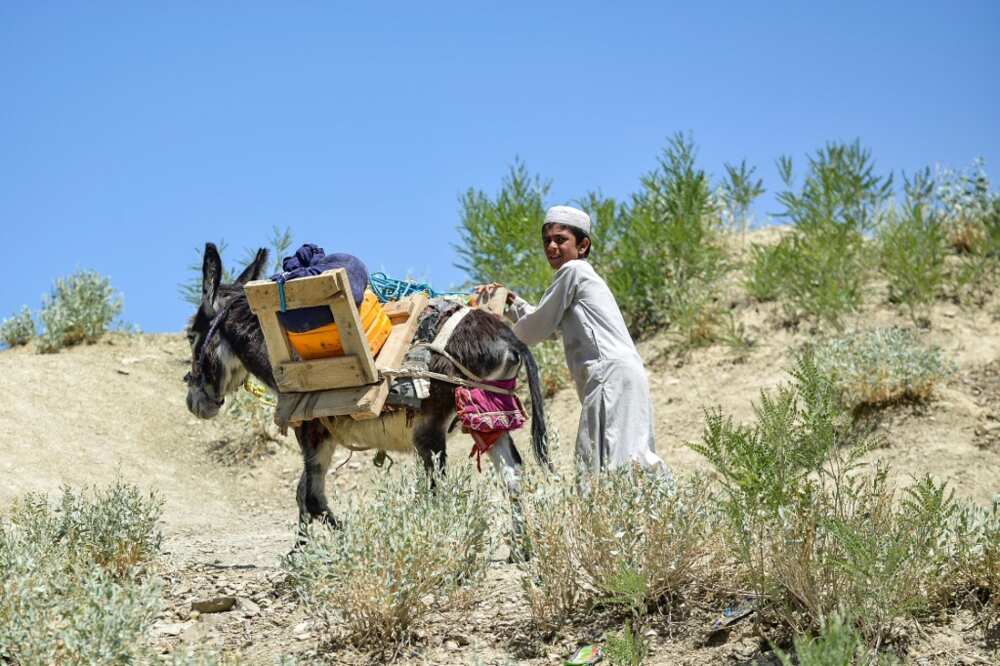 A young boy urges his donkey towards shelter as he leaves his wrecked village in Gayan district A young boy urges his donkey towards shelter as he leaves his wrecked village in Gayan district