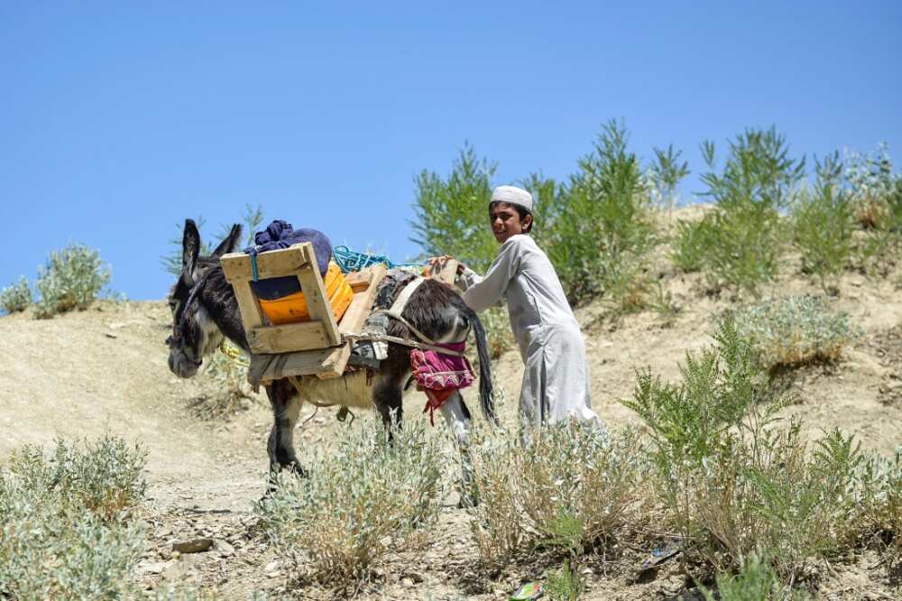 A young boy urges his donkey towards shelter as he leaves his wrecked village in Gayan district