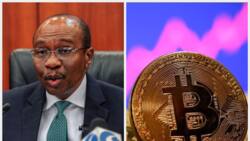 CBN speaks on future of cryptocurrency in Nigeria as Bitcoin value rises above $30,000, first time in 10months