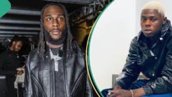 "So Mohbad na joke to u?" Burna Boy queried over plans to drop new music video