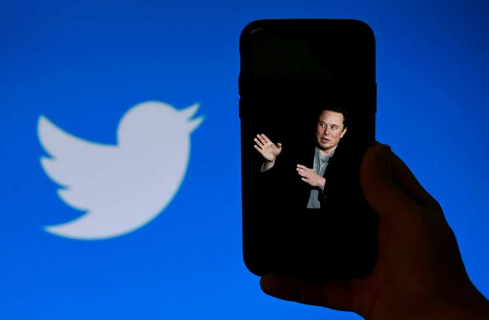 Climate sceptics say Twitter boss Elon Musk has helped make their voices heard on the platform Climate sceptics say Twitter boss Elon Musk has helped make their voices heard on the platform