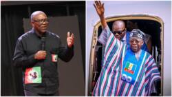 Peter Obi reacts to claims that Tinubu's victory is God's will for Nigerians