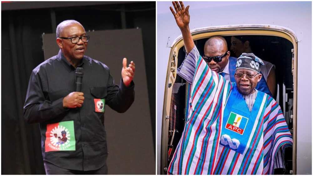 Peter Obi, Bola Tinubu, Labour Party, APC, 2023 presidential election, Adamawa state