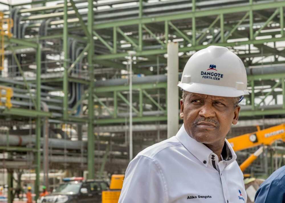 Gwamnatin tarayya ta ware Dangote daga dokar rufe iyakokin kasa Gwamnatin tarayya ta ware Dangote daga dokar rufe iyakokin kasa