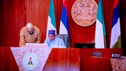Buhari’s impeachment: Presidency dares lawmakers, calls senators “minority of the minorities”
