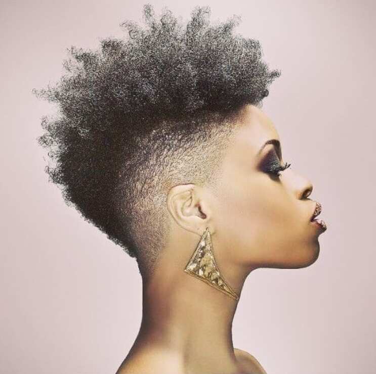 Best short hairstyles for black women - Tuko.co.ke