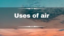 Uses of air in our daily life: Its importance and functions