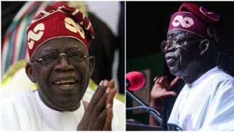 Bola Tinubu's inauguration: Nigeria swears in new president as Buhari hands over; Live Updates