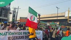 APC, PDP, LP react as NLC protest spreads across Nigeria, urge Tinubu to ease economic tension