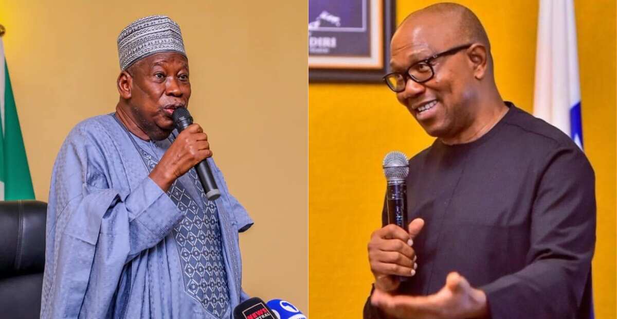 Governor Ganduje finally speaks on Peter Obi's popularity