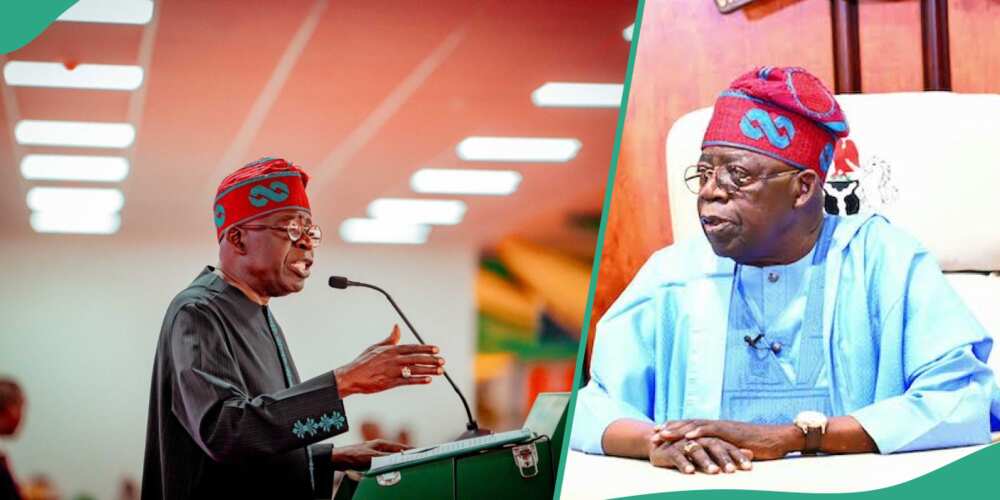 President Bola Tinubu has revealed the reason why no one was punish for the shutting down of the national grid during the NLC and TUC protest on national minimum wage on January 3.