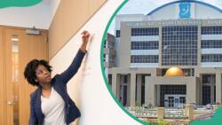 Bayero University Kano (BUK) courses, cut off mark and fees in 2024