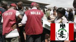 Tension as armed men open fire on NDLEA operatives in top southern state