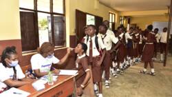 Pepsodent takes oral health campaign to schools and communities in underserved areas