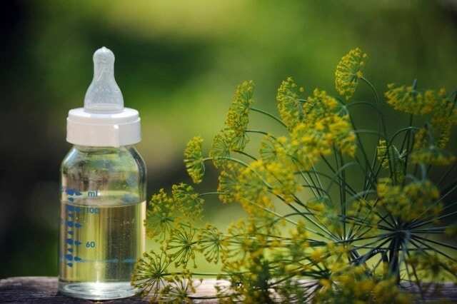 Dill water hot sale for newborns