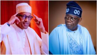 2023 Polls: "They Moved Exchange Rate From N200 to N800," Tinubu Fires More Shots at Buhari's Administration