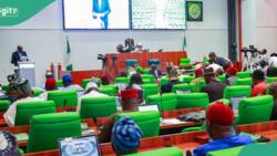 Reps move to stop sports betting in Nigeria? Fact emerges