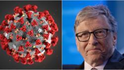 Nigeria gets N383m from Bill Gates for fight against COVID-19 as cases increase daily and hunger bites harder