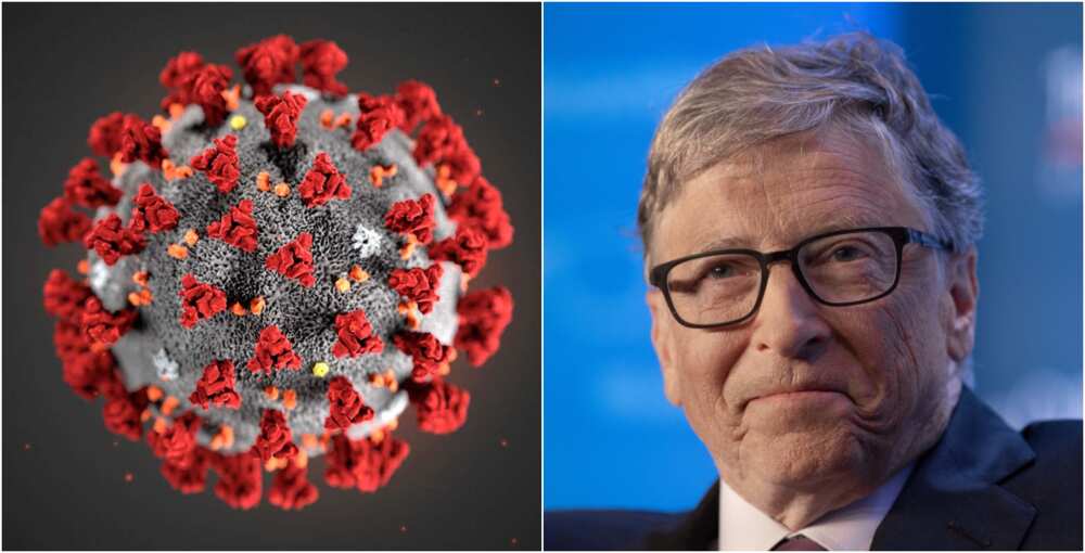 A collage showing Gates and a pictorial depiction of the virus. Photos sources: Techcrunch/New Scientist