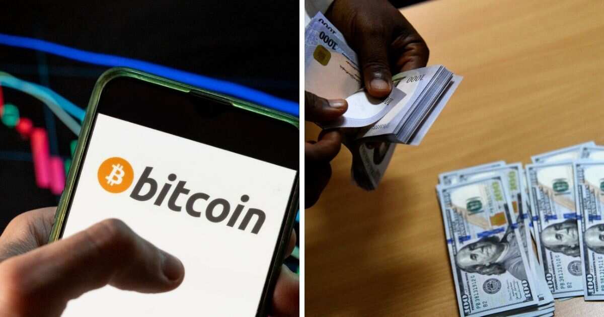 Rahoto: Yadda 'yan crypto suka tafka asarar triliyoyin kudade a 2021 saboda wasu dalilai