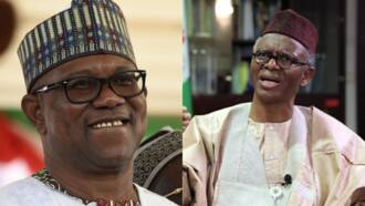 Peter Obi: All Labour Party presidential candidate will be is a Nollywood actor, says El-rufai