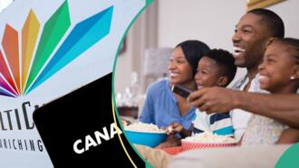 Canal+ moves closer to full takeover of MultiChoice with 40% stake