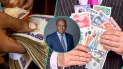 Naira gains over N200/£ in 24 hours as banks, others sell British Pound at new rate