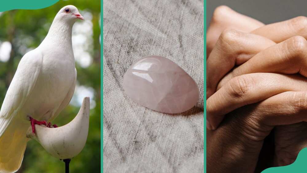 A dove (L), rose quartz (C), and clasped hand (L)