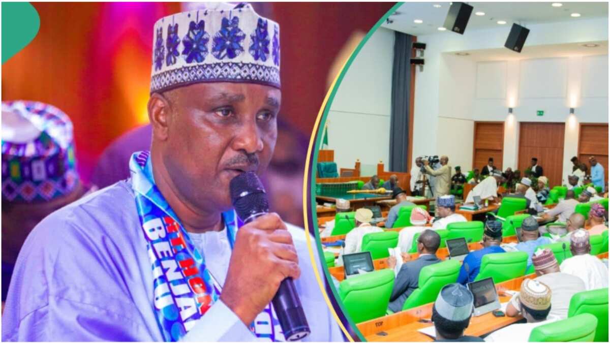 Full list: New states rep moves to create in Nigeria