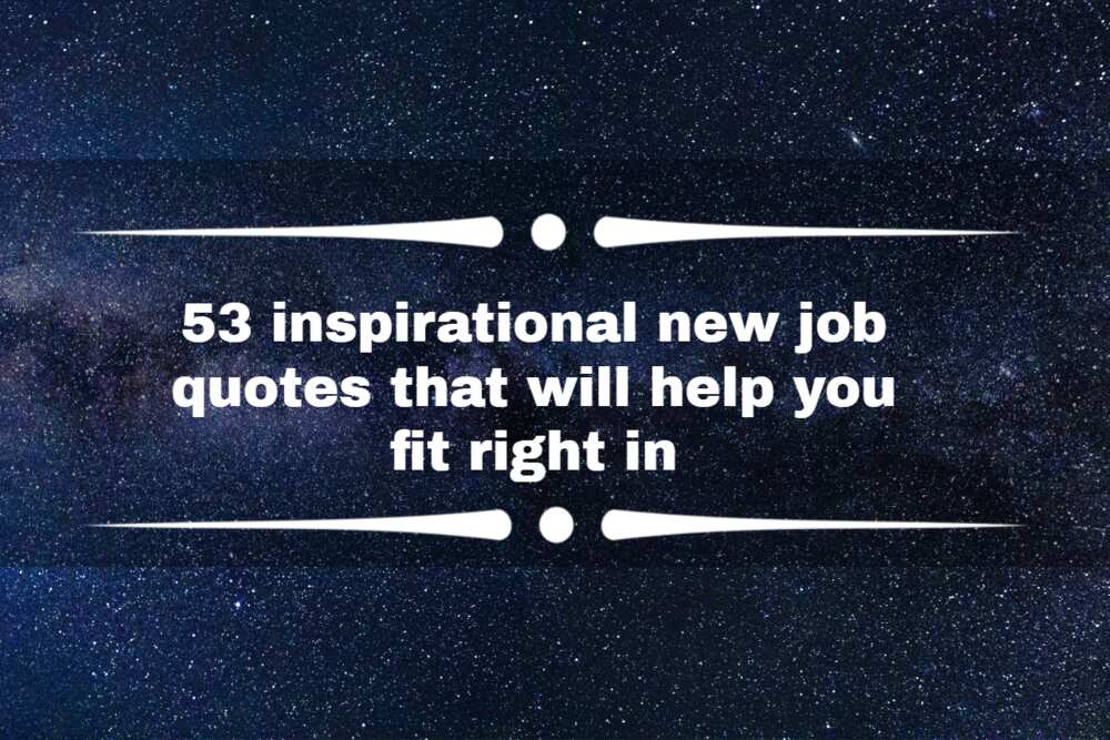 53 inspirational new job quotes that will help you fit right in - Legit.ng