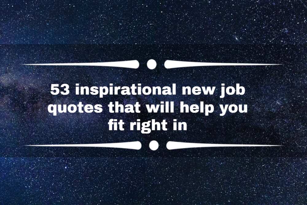 53 inspirational new job quotes that will help you fit right in