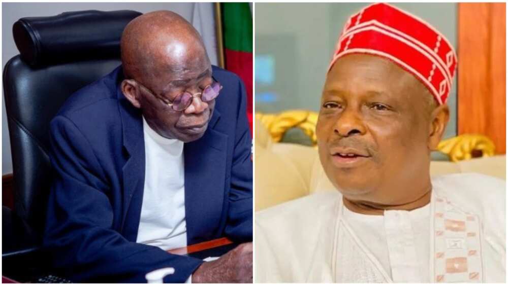 Bola Tinubu/Rabiu Kwankwaso/Kashim Shettima/APC,NNPP/2023elections/Borno