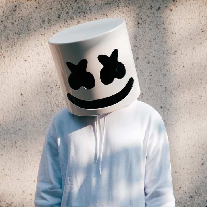 Marshmello net worth, bio, age, height, real name, face - Legit.ng