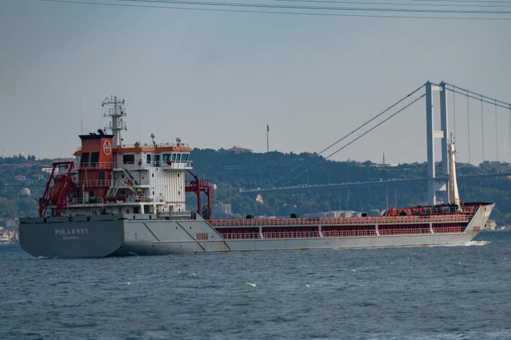 The Polarnet, seen here in the Bosphorus at Istanbul, is carrying 12,000 tonnes of corn