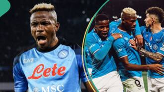 Jubilation as Osimhen joins Haaland, Mbappe in exclusive UEFA Champions League record