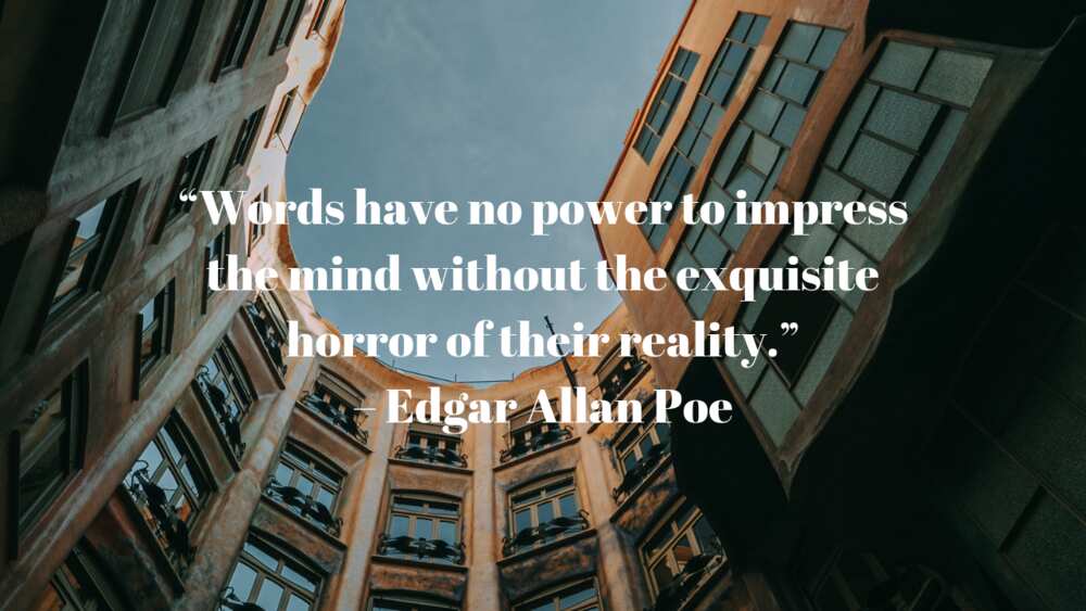 Edgar Allan Poe quotes love