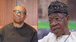Labour Party, APC engage in war of words as opposition tackles Lai Mohammed, Buhari