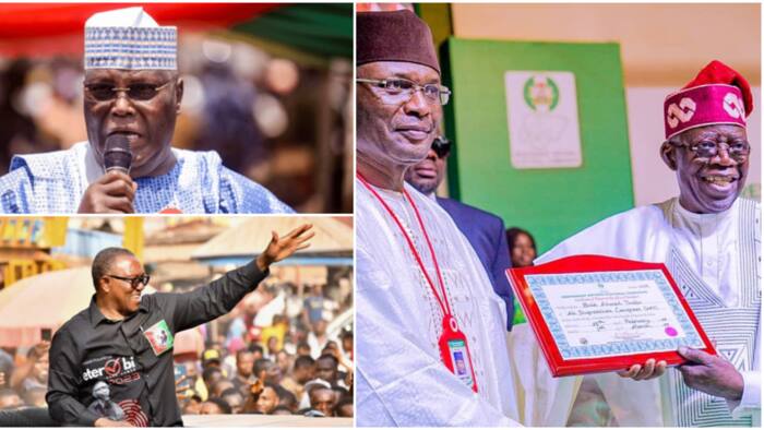 Afenifere rejects Tinubu’s victory, reveals candidate who won 2023 presidential election