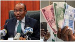 CBN defends naira design, lists security features as Nigerians mock new N1000, N500, N200 notes