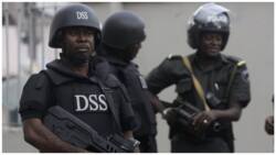 'Political thuggery': DSS arrests 2 Kano LGA chairmen, gov's aide, declares one wanted