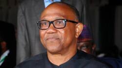 "Ka Yi Hakuri," Gwamnatin Burtaniya Ta Aike da Sako Mai Muhimmanci Ga Peter Obi Kan Abinda Ya Faru