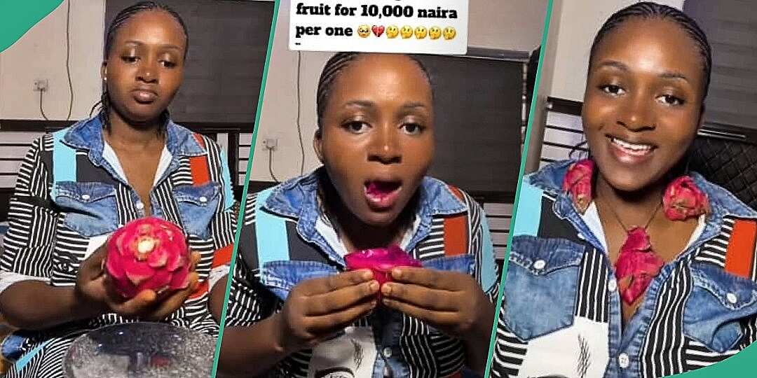 Watch video of dragon fruit that a man purchased at the market for N10,000