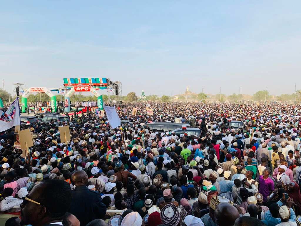 APC records massive victory in local government elections - Legit.ng