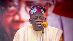 BREAKING: Tinubu speaks on outcome of supplementary elections in Adamawa, Kebbi, others